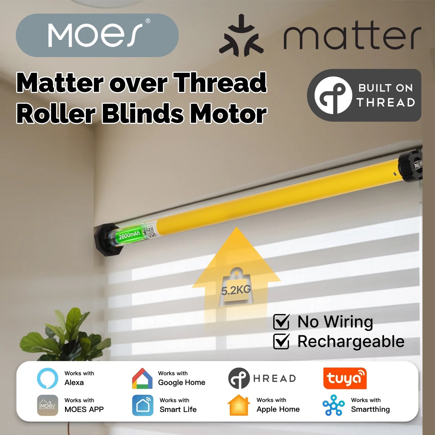 Matter over Thread motor za roletne 38mm | Alexa Google Home HomeKit